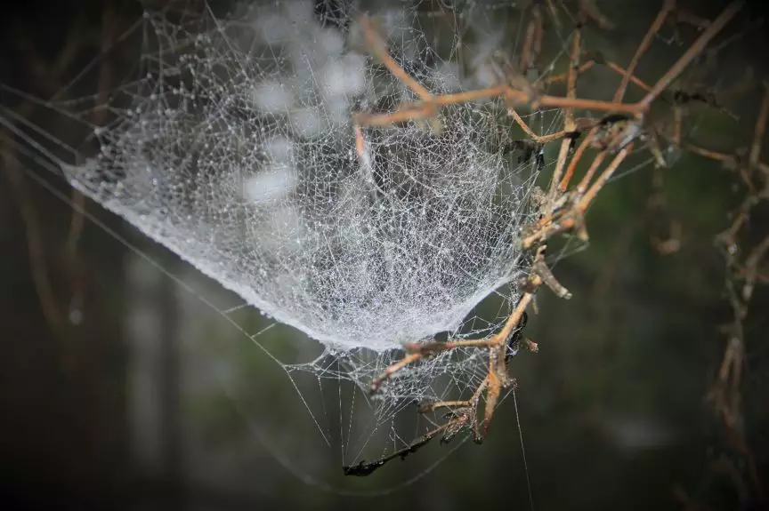 【HyperMesh宝典】之空间变换之美（独家美图放送）的图28